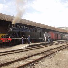 01 – Locomotiva a Vapor. Peso da Régua. 2006. Foto Luís Canotilho