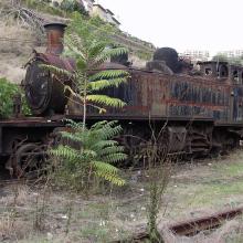 17 – Cemitério de locomotivas no Peso da Régua. 2006. Foto Luís Canotilho